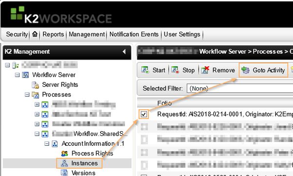 K2 Workflow Instance